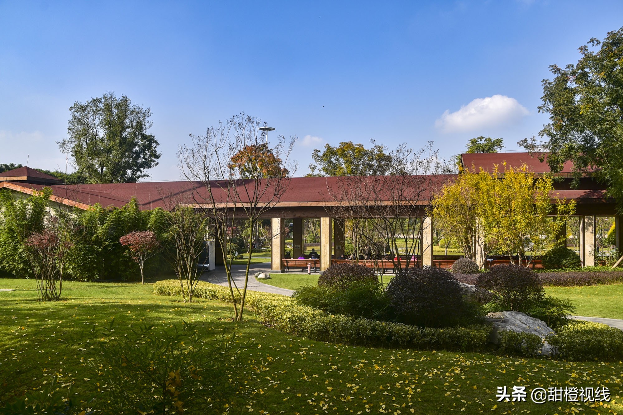 内江大洲广场风水醉美秋色来袭