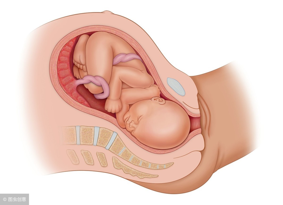 胎宝宝位置有几种？不是三种也不是四种，孕28周后会有22种胎位
