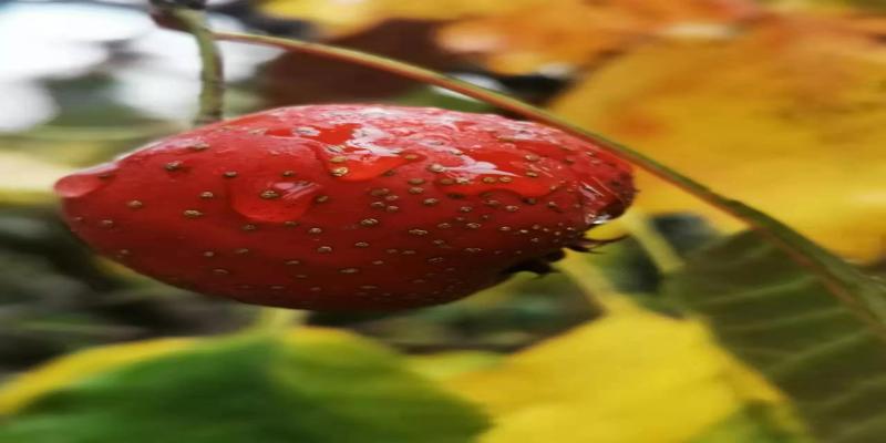 为什么要学易经(我为什么想学)_重复