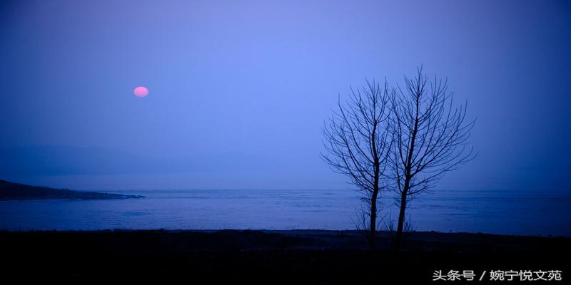 3枚硬币算卦的方法(生命是偶然与荒诞的)