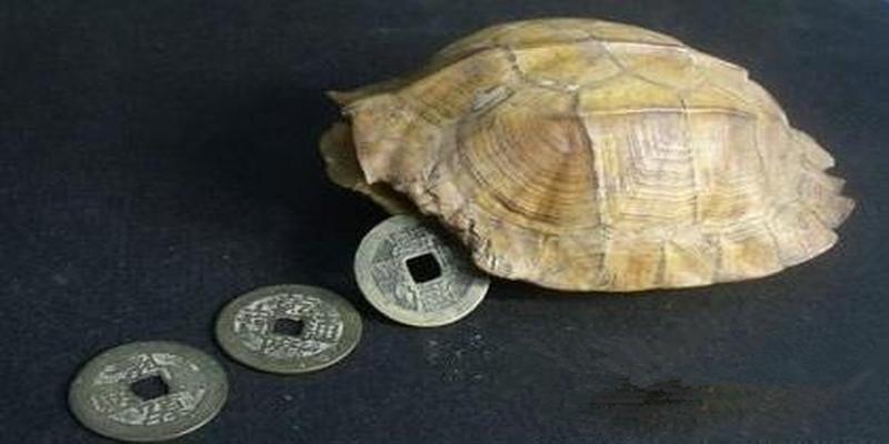 6个铜钱字面算卦(龟甲铜钱是如何算命的)