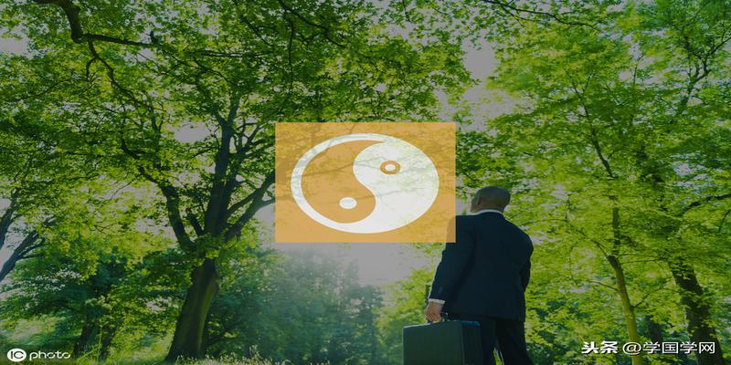 先看易经还是梅花易数(周易学术的分类)