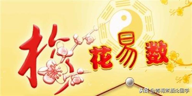 易安居梅花易数(中国文化史上一部真正的奇书)