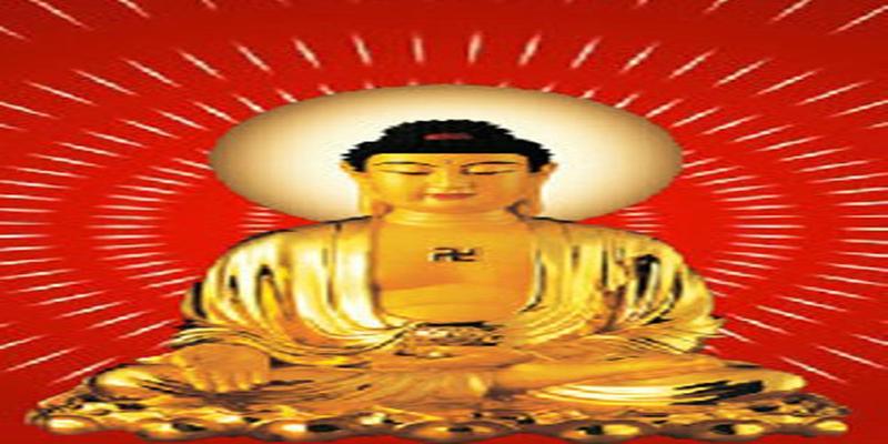 梅花易数震卦详解(教你梅花易术)