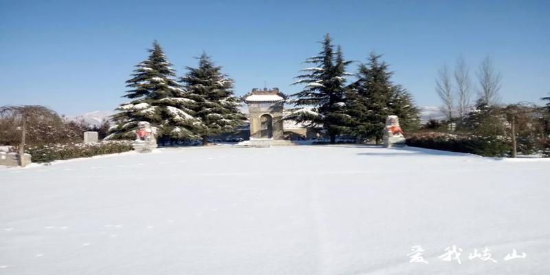 臊子面原来是“蛟龙面”,由蛟龙肉烹饪而成!你还敢吃吗?