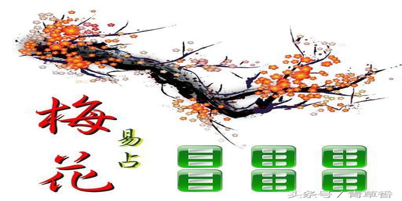 校正梅花易数(梅花易数万物类象口诀及外应断事口诀)