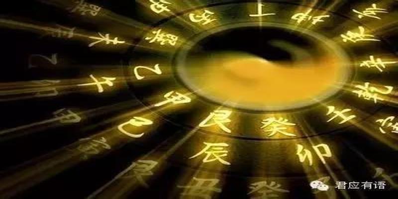 梅花易数 体生用 感情(传统文化易经八卦之和我一起读梅花14)