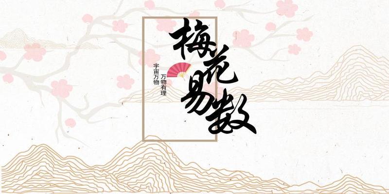 梅花易数 外应(我这些年用的梅花易数)