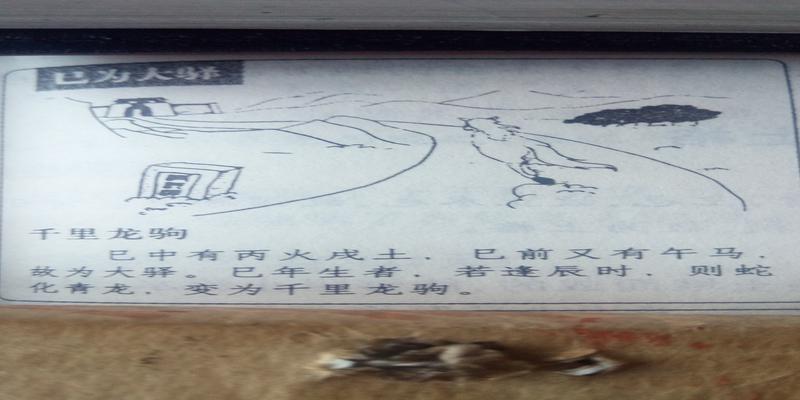 神奇的梅花易数……教你占卜,最简单准确的预测法