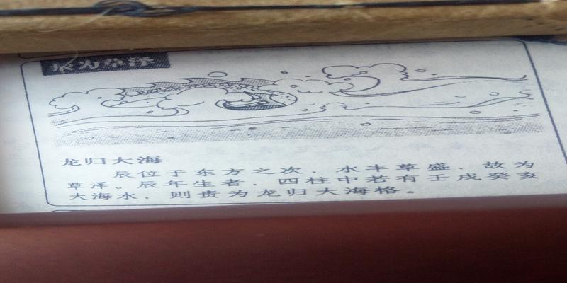 梅花易数很准神奇的梅花易数