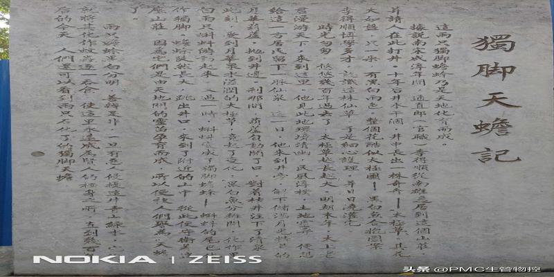 法王寺方丈释延佛算卦如何东莞隐贤山庄