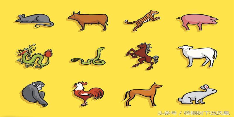 算卦合婚是啥意思过去婚姻文化中的掐八字是咋回事