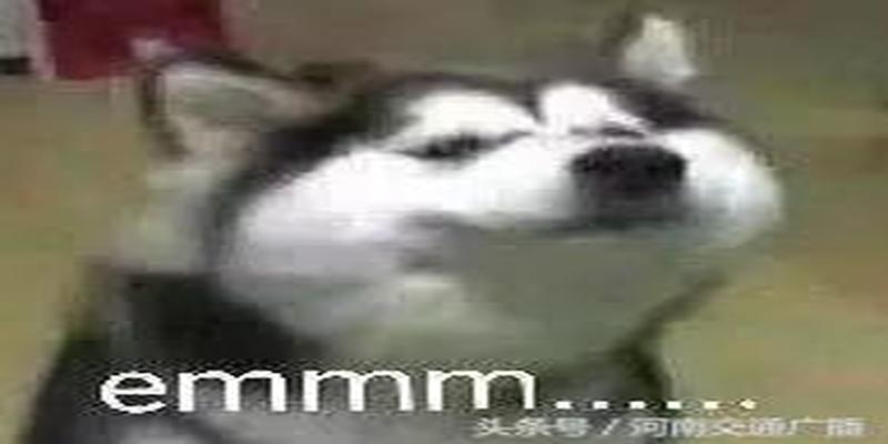 郑州帝湖佛缘算卦(算命先生被骗数万露宿郑州街头)