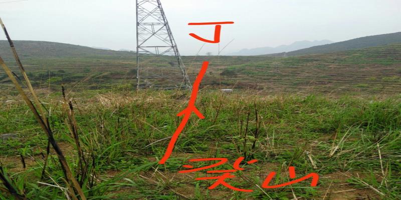 八字无根怎么化解(有没有用八字调理运势的手段)