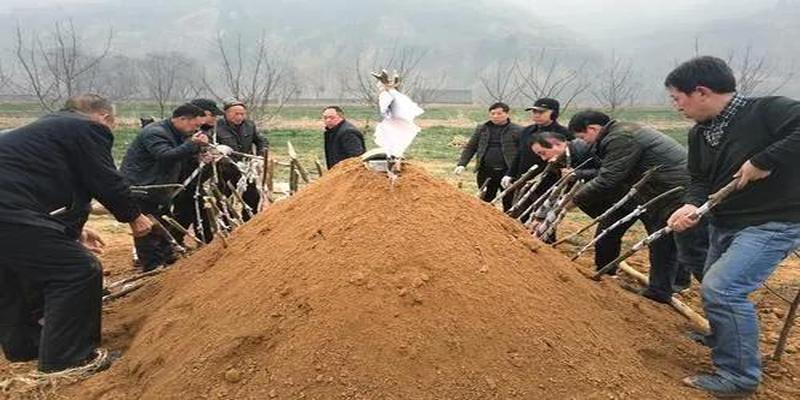 安葬择日大全详解农村讲究选日子