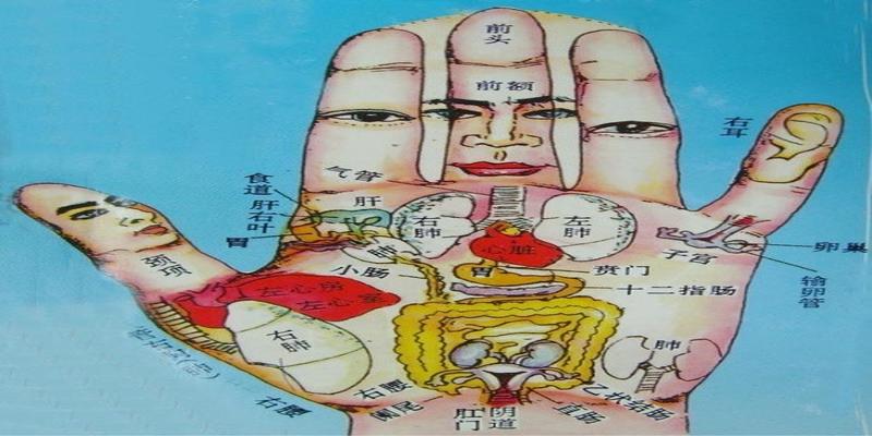 手诊范畴事实上,掌纹看健康,并不是无稽之谈,基础源自中医.