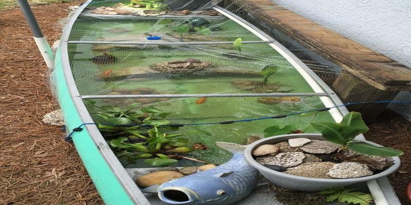 庭院里找一块地,砌个50公分的鱼池养养鱼,流水石景,天天看不腻