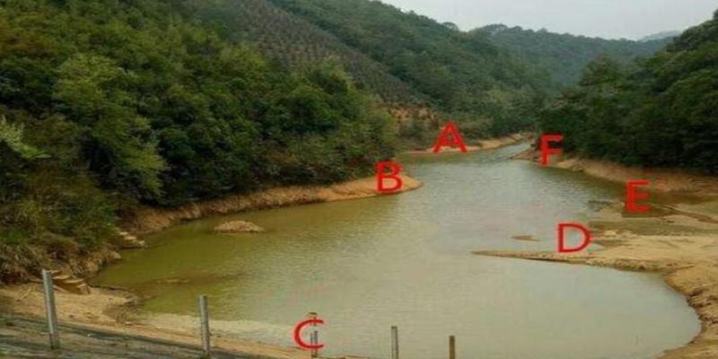 冬季钓鲤鱼选钓位钓鲤鱼水温最低多少