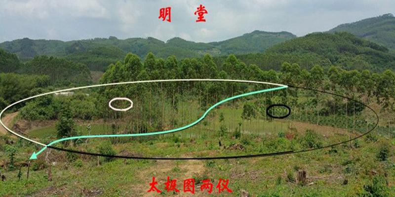 申山寅向安葬择日定穴两处不知作何选择