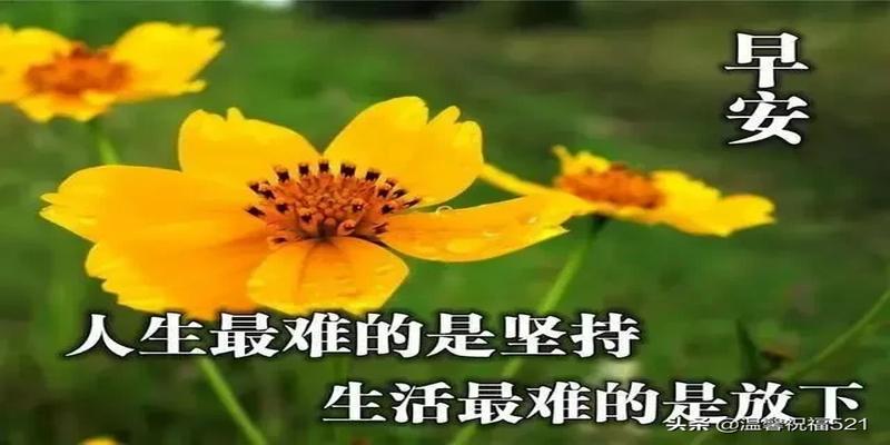 早晨祝福图片 早上好问候句子