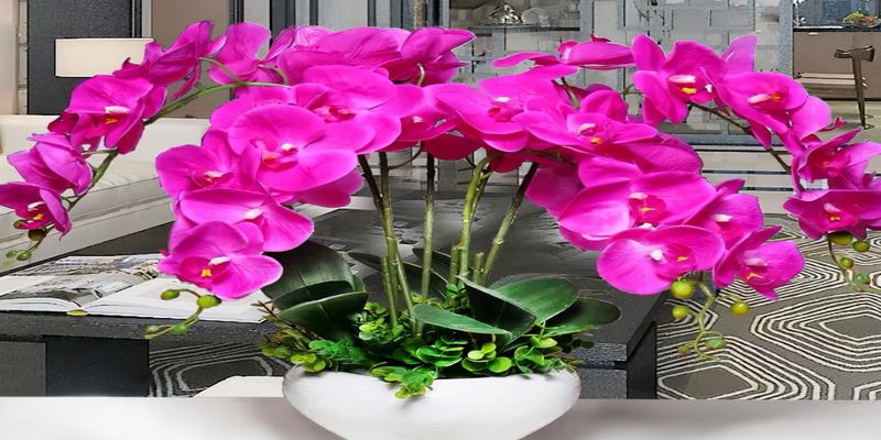 包含什么花最招财吉祥平安的词条