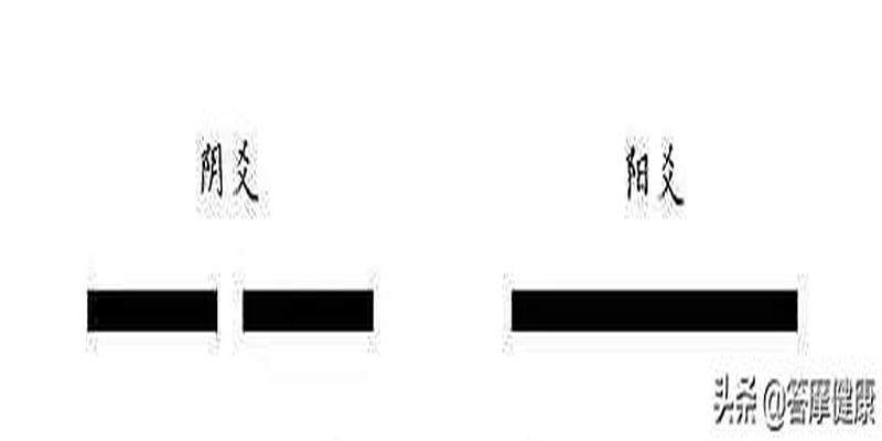 阴阳两爻是什么意思一个阴爻两个阳爻什么意思