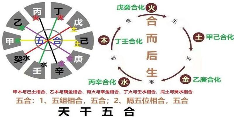 干支相合是什么意思八字天干地支相合