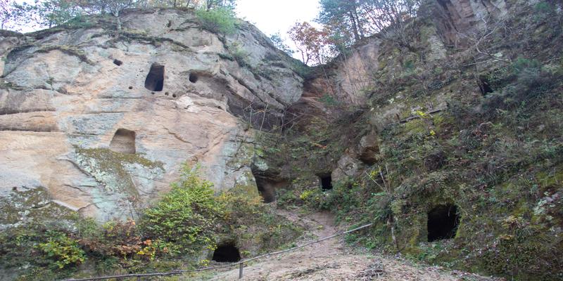 秦岭里面有古墓吗秦岭古墓群