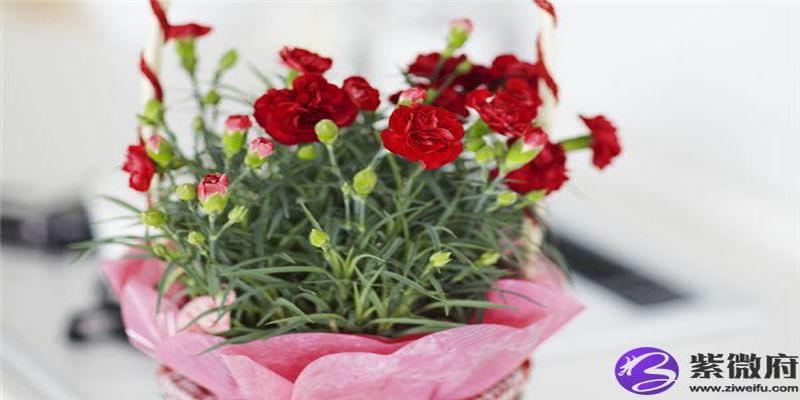 八字财运分析 什么样的格局是有钱人的八字