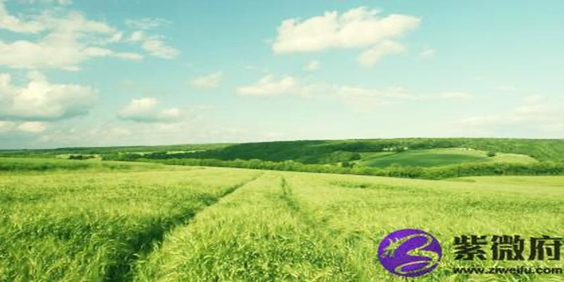 两个天乙贵人却相冲咋办 天乙贵人相冲