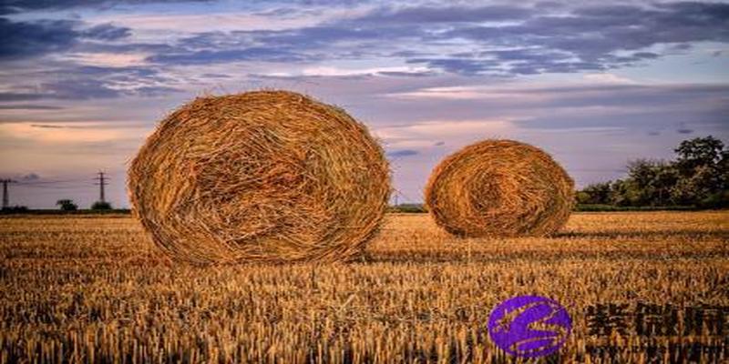 丁亥日壬寅时婚姻(戊子日癸亥时婚姻)