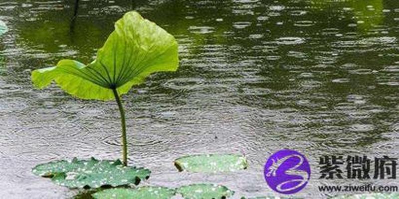 2029年己酉年太岁是哪一位 己酉太岁程宝大将军传略