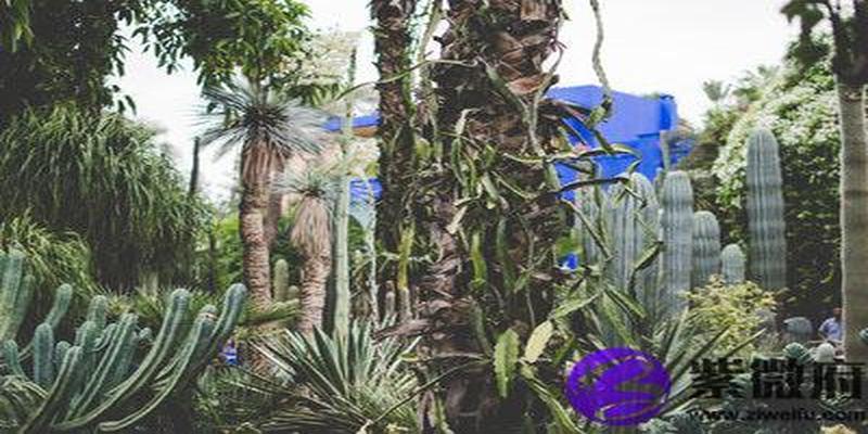 丙戌日柱在辛丑年(丙子日柱和辛丑日柱相生吗)