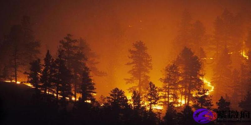 狗是山头火命好不好可以根据命理来看那么属狗是山头火命好不好山头火