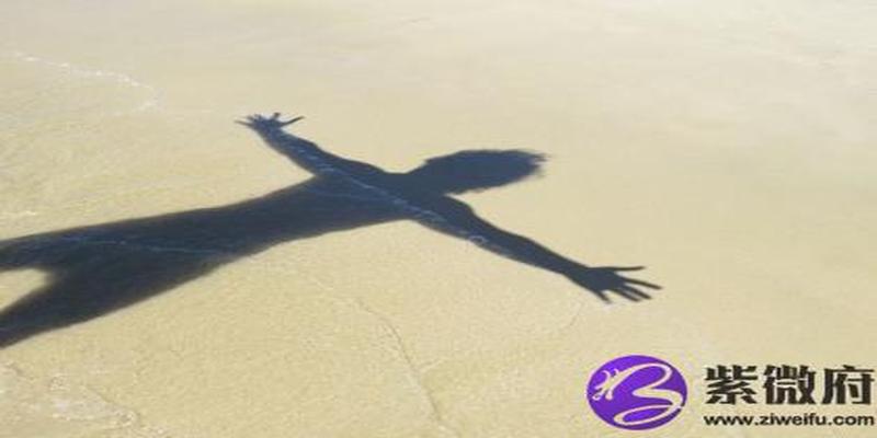 丙辰日己丑时(己巳年丙子月辛酉日)