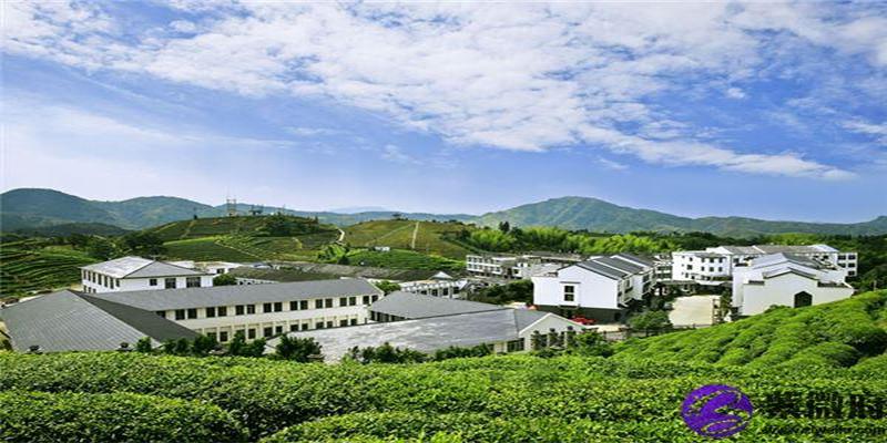 传说脖子后面有痣的是孟婆(孟婆汤之黄泉路)