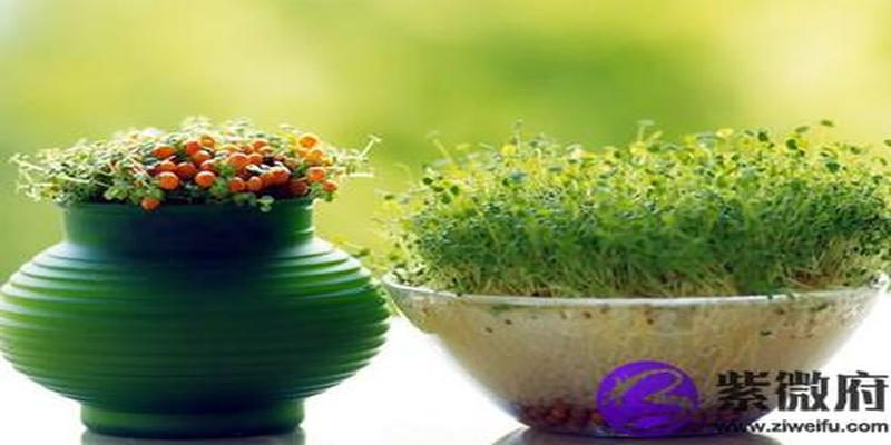 2019年春节覆灯火命人财运如何