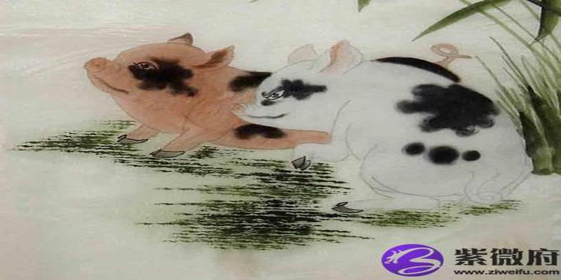 丁亥年是什么意思丁亥年是哪一年