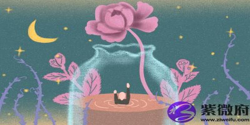 2020年生肖出生年龄对照表(明年出生的宝宝是什么生肖)