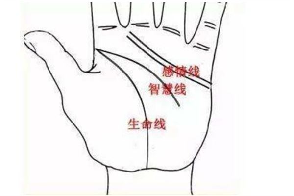 两条感情线图解大全(两条感情线图解大全)
