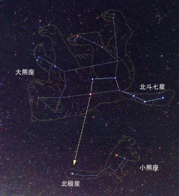 北斗七星是什么星座,北斗七星所在星座——大熊座 - 天华易学