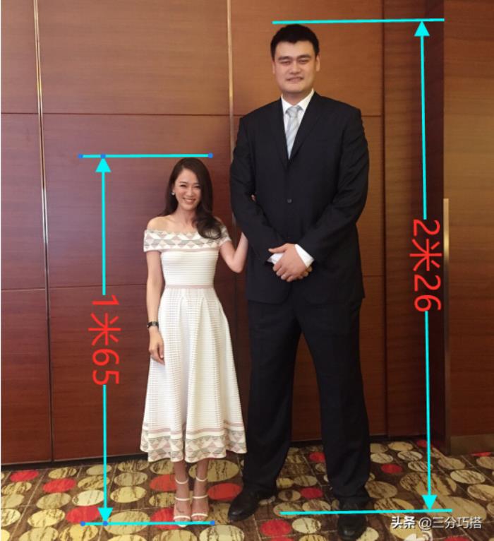 陈乔恩身高,1米65的陈乔恩和2米26的姚明同框 - 天华易学