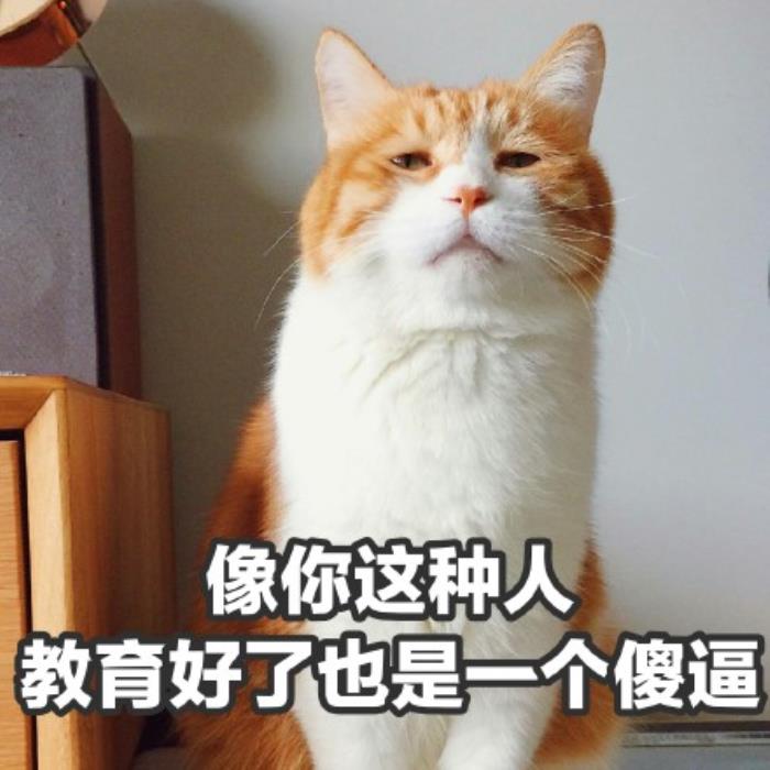 不期待的经典句子(微信最近很火的心情句子) - 天华易学