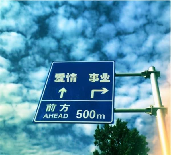 爱情和事业选择真人案例,爱情和事业怎么选择 - 天华易学