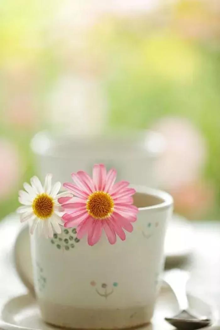 心情图片(适合发朋友的心情语录配图) - 天华易学