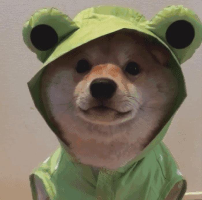 奇葩的图片逗比