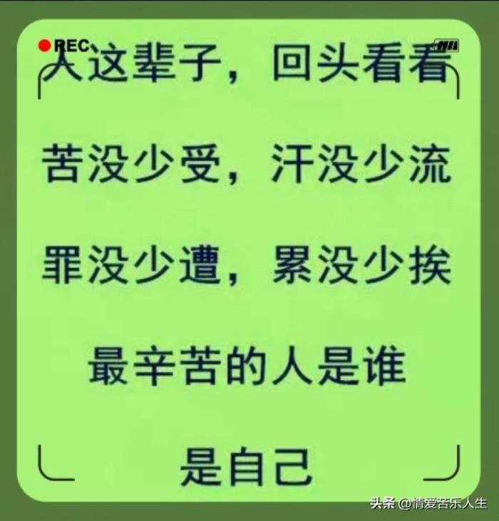凑合过日子心酸的句子(这辈子就凑合着过吧) - 天华易学