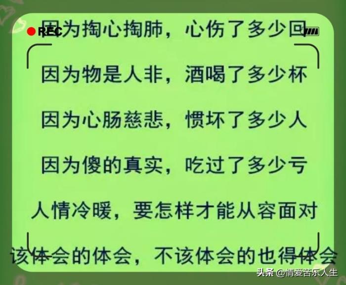 凑合过日子心酸的句子(这辈子就凑合着过吧) - 天华易学