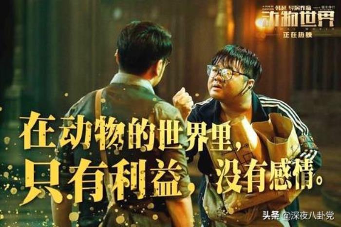 动物世界豆瓣(豆瓣评超越日版电影的国产片) - 天华易学