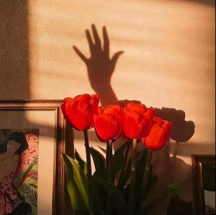 逗女孩子开心的笑话(哄女孩开心的幽默笑话) - 天华易学